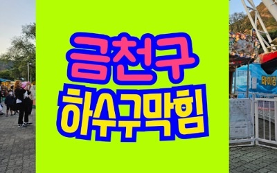 금천구하수구막힘 싱크대막힘 뚫음 공사 비용