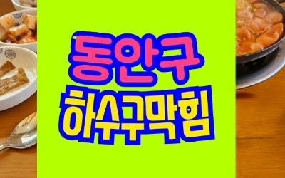 동안구하수구막힘 싱크대막힘 뚫음 비용 얼마인가