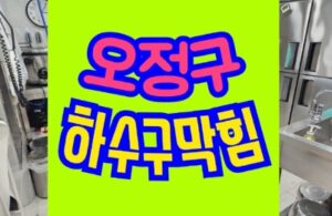 오정구하수구막힘 싱크대막힘 역류로 아래층 물샐경우