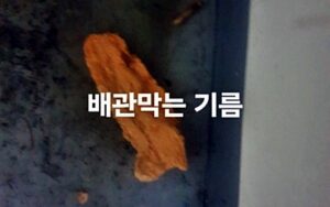 배관막는 기름