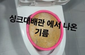 싱크대 배관에서 나온 기름