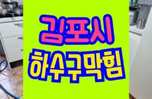 김포하수구막힘 싱크대역류 수리