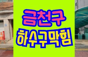 금천구하수구막힘 싱크대 하수구역류