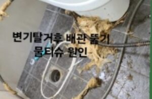 배관 뚫기 물티슈 확인