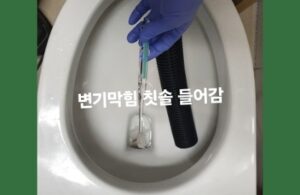 변기막힘 칫솔 들어감