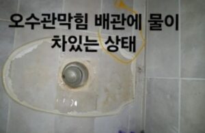 강서구변기막힘 뚫음 오수관막힘 배관청소