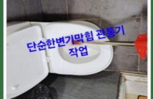 단순 변기막힘 관통기