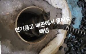 변기뜯고 배관에서 물티슈 빼냄