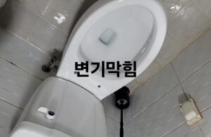 변기막힘