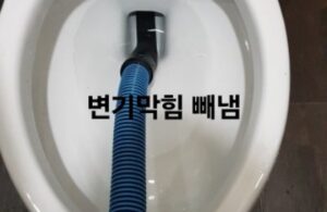 변기 막힘 빼냄