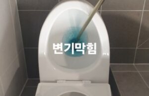 변기막힘