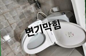 화성변기막힘 역류 뚫기