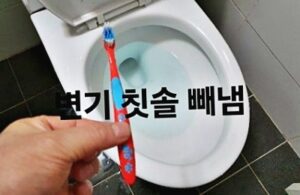 변기 칫솔 빼냄