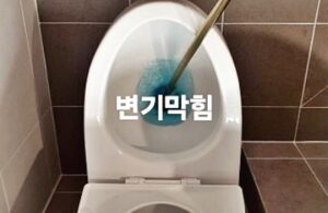 선학동 변기막힘 역류 배관 카메라를 활용한 현장