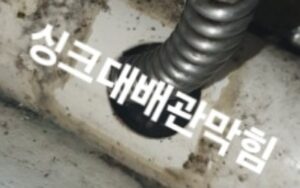 문정동 하수구막힘 현장 상황과 1인 가구의 고충