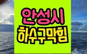 안성싱크대막힘 또는 하수구막힘 뚫는 업체