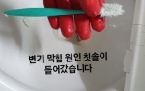 변기막힘 원인 칫솔