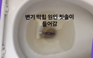 변기 막힘 원인 칫솔이 들어감