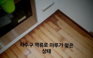 평택하수구막힘 역류 하는 이유