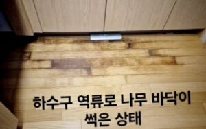 하수구 역류로 썩은 나무 바닥