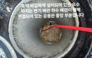 공용관