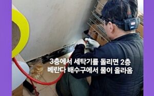 하수구 막히면서 역류 증상