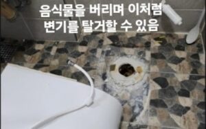 변기 막힘 작업 탈거