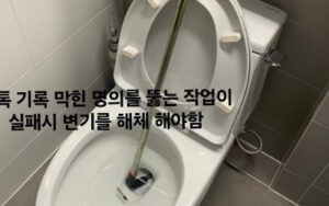 덕양구변기막힘 음식물 때문에 변기배관뚫음