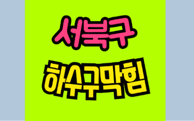 서북구하수구막힘 쌍용동 싱크대막힘 증상과 원인