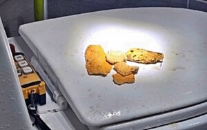 기름 슬러지 음식물 찌꺼기나 세제 찌꺼기 등이 섞이며 단단한 덩어리