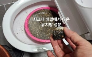 싱크대 배관에서 나온 기름 덩어리