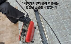 역류 증상 해결