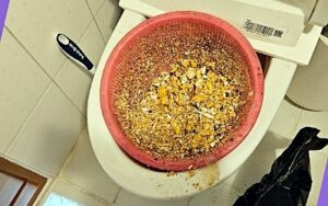 배관 내시경으로 포착한 점토질 슬러지의 실체