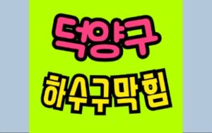 덕양구싱크대막힘 행신동 하수구막힘 변기역류