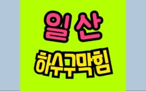 일산싱크대막힘 백석동 하수구막힘 변기역류