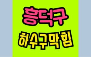 흥덕구하수구막힘 복대동 싱크대막힘 변기역류