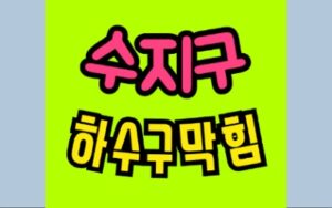 수지구 상현동 싱크대막힘 하수구 변기뚫음 비용
