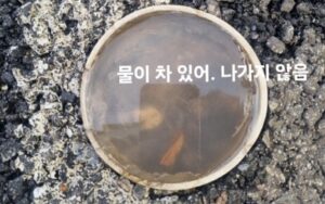 장안구싱크대막힘 오수관막힘 변기뚫음 비용