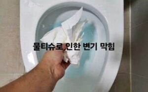서초구변기막힘 또는 오수관막힘 뚫음 비용