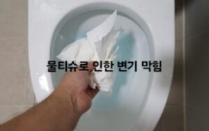 물티슈로 인한 변기 막힘
