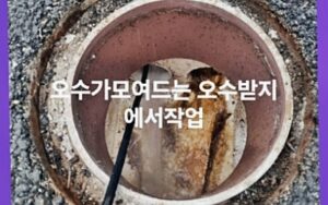 오수가 모여드는 곳
