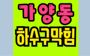 가양동하수구막힘 퇴근 후 화장실 역류? 주범은 싱크대막힘