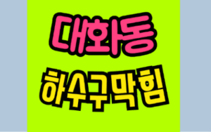 대화동싱크대막힘 하수구역류의 원인과 대처법