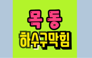 목동싱크대막힘 하수구막힘 셀프로 해결하려다 수리비 폭탄