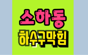 소하동싱크대막힘 하수구역류 전문가 수리