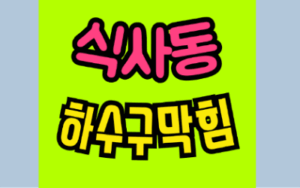 식사동싱크대막힘 하수구막힘 전문가 수리 정보
