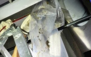 계양구하수구막힘 하수구역류 수리 과정 안내