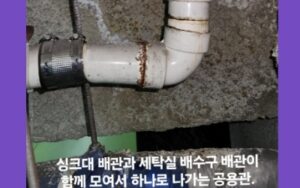 공동관은 모든 세대의 하수가 모이는 배관