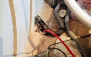 미사동하수구막힘 또는 싱크대막힘 역류 해결해요