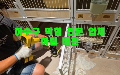 하수구역류 전문가 수리